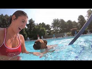 Haley !! Boomer and a GoPro Hit The POOL