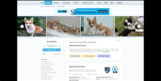 Full Video: Dogz Online is getting a refresh