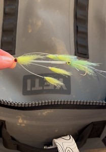 Exciting Saltwater Fly Fishing Concept