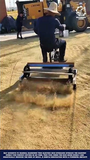 Post-Harvest Machine Heavy-Duty Electric Grain Spreader for High-Efficiency Crop Drying