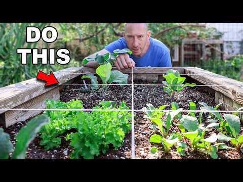 SQUARE FOOT Gardening, My Clever Way to Grow MORE Food in LESS Space
