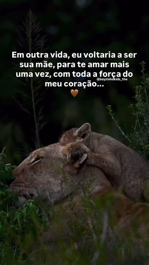 Boyzinho Kids | Moda infantil on Instagram