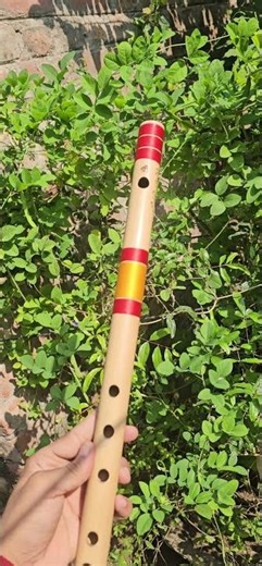 A base flute demonstration | flute tuning #flutes #bansuri 8210544770