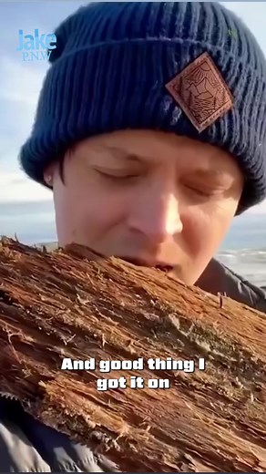 A stranded comb jellyfish! | Jacob Colvin