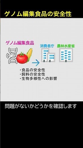 ゲノム編集食品の安全性の確認