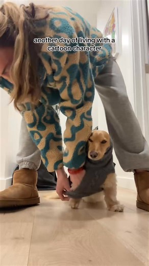 my derpy lil guy _fix_001 | Brian Weir