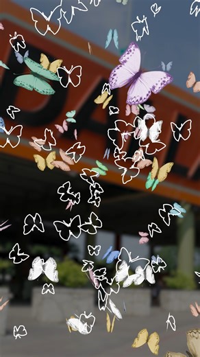 9.2K views · 105 reactions | Think you’ve got the perfect timing? 曆 Try to catch these butterflies mid-flight with a screenshot! Bring your skills to Flutter Fest at the Dallas Zoo on Sept. 6 and 7. Spend the weekend with us and enjoy butterfly-themed games, hands-on activities, and a chance to learn all about monarch migration. It’s a magical weekend of fun for the whole family - don't miss it! | Dallas Zoo | Facebook