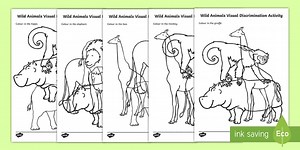 Grade R Life Skills - Term 4 - Beginning Knowledge and Personal and Social Well-being- Wild Animals - Worksheet: Visual Discrimination(CAPS Aligned)