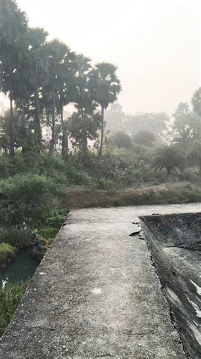 POWERFUL Leg Exercises to Get You FIT Fast!, 💪❤️ #shortsfeed #shorts #calisthenics