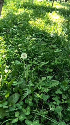 17K views · 1.3K reactions | Scenery video | Mountain Explore | Facebook