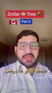 23K views · 1.3K reactions | کینیڈا کے بارے میں ڈالر کا درخت حصہ 3 Canada  dollar tree #motivations #inspiration #success #amazing #dollartree #dollars #skills #letsgrowtogether #musafar #pukhtana #pukhtoon | Pukhtoon Motivations | Facebook