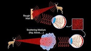 A holographic camera that can see the unseen