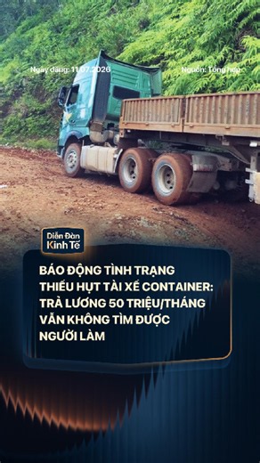 Báo động tình trạng thiếu hụt tài xế container: Trả lương 50 triệu/tháng vẫn không tìm được người làm #DienDanKinhTe #tiktoknews #tintuc #news #taixecontainer #iSocialVietnam