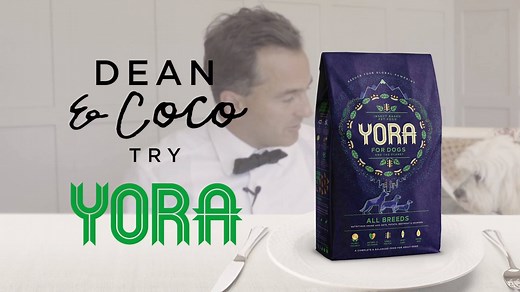 It’s dinner time again for our Managing Director Dean and his dog Coco! This week they’re tucking into the world's most sustainable pet food, YORA - For Pets & The Planet: petscorner.co.uk/yora 🌎 | Pets Corner