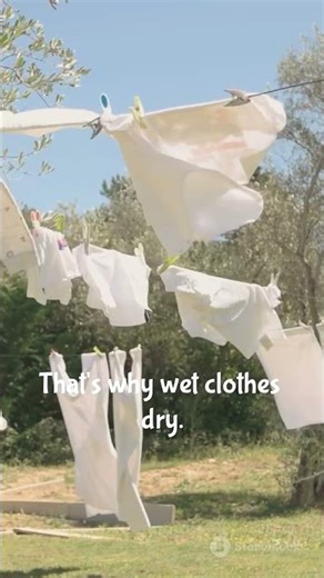 Fun and simple science for kids! 🧪 Why Does Water Disappear?