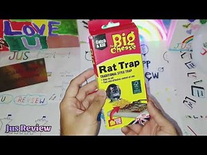How To Set A Rat Trap | The Big Cheese | Accidentally Sets Off Trap