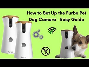 How to Set Up the Furbo Pet Dog Camera – Easy Guide