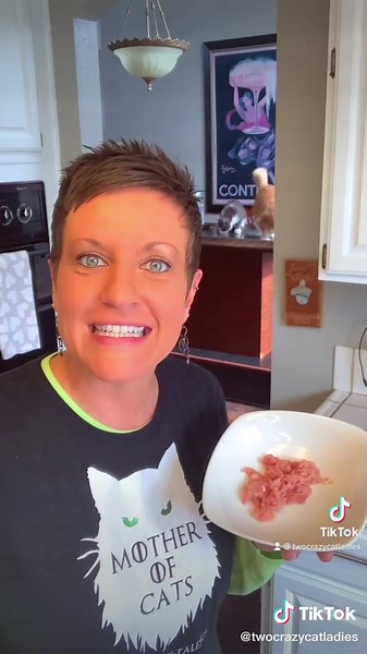 Cat Eating Habits: Understanding Why Your Cat Only Eats Dry Food