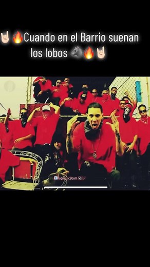 🔥🤘🏻Los Lobos 🐺🔥🤘🏻#los #Lobos #parati #somosdecalle #foryou