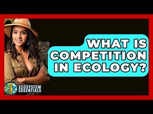 What Is Competition In Ecology? - Ecosystem Essentials