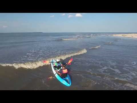 Perception Tribe Overview