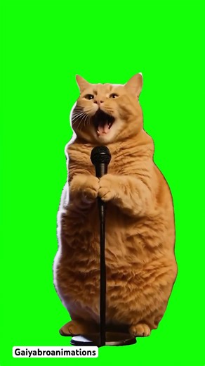 Cats 🐈 Sing 🎤 Opera #green #greenscreen #fynnymoment #2025 @LifeMirror1991