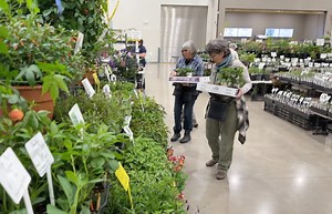 This huge Oregon plant sale will help you spring into gardening season