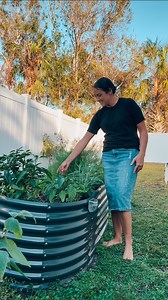 Lynette Yoder on Instagram: "My First Florida Garden 🧑‍🌾 what do you like to plant in your garden if you have one? I would love to have a lot more flowers. 💐 The garden beds are from @landguard_gardening I love them! Follow for more homemaking content! . . . #Gardening #floridagarden #raisedbeds #dahlias"