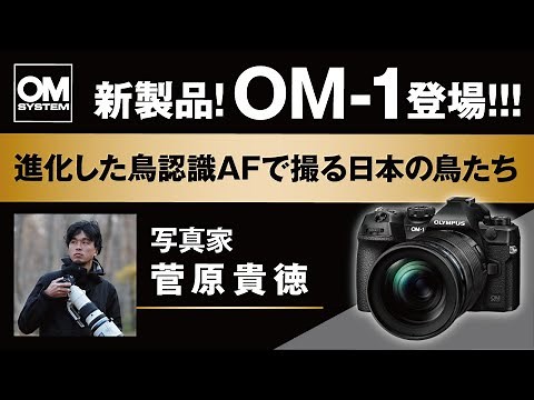 【OM SYSTEM OM-1登場！】写真家 菅原貴徳「進化した鳥認識AFで撮る日本の鳥たち」-CP＋2022 OM SYSTEM スペシャルトークステージ-