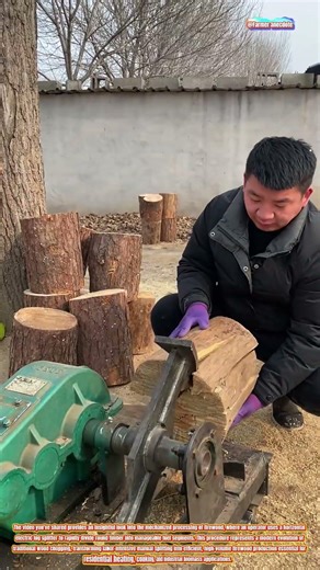 The Art of Electric Log Splitting: Efficiency in Firewood Preparation