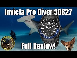 Invicta 30627 Pro Diver Quartz Watch Review!