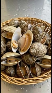 Live Shellfish Basket 🐚 | Moving Seafood Close-Up ASMR