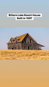 54K views · 957 reactions | Have a photographed the Bittern Lake...