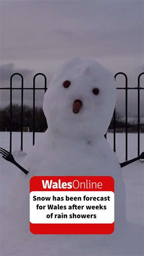 Snow Forecast for Wales: When the Met Office Says Wintry Weather Will Arrive | WalesOnline