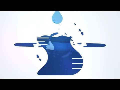 Fully Custom Logo Animation Show Reel | Logo Animation Show Reel
