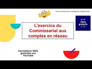 L’exercice du Commissariat aux comptes en réseau