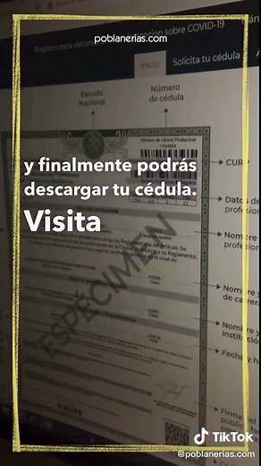 Con estos pasos puedes obtener tu cédula profesional en México. #cédulaprofesional #universidad #egresados