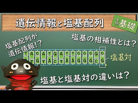 遺伝情報と塩基配列【50生物基礎】新課程対応