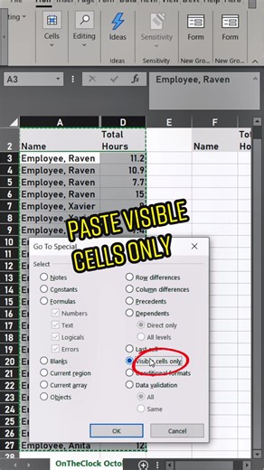 Copy and paste visible cells only in Excel. Hide columns and don’t get stuck pasting data you don’t want showing. #excelhack #spreadsheets #spreadsheettricks #spreadsheettips #excel #learnontiktok #xecutethevision #exceltipsandtricks #business #msexceltraining #learnexcelontiktok