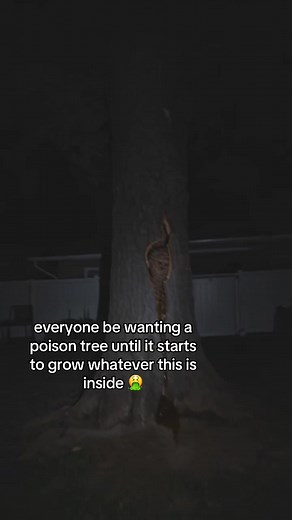 Analogue Horror: When the Poison Tree Grows Something Else