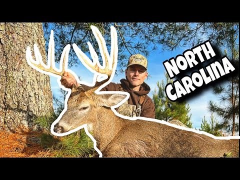 BIG BUCK DOWN! (Self Filmed) - Trophy North Carolina Whitetail