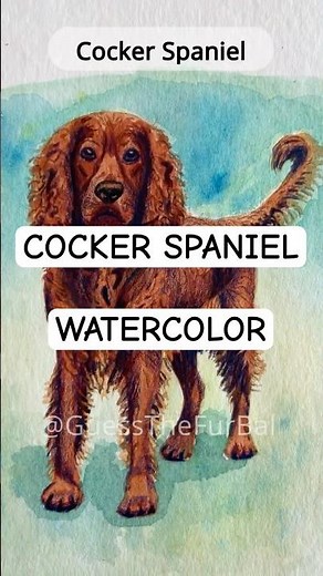 Cocker Spaniel watercolor dog painting #dogart #shorts