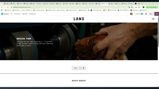 Odoo Front End Repair Example