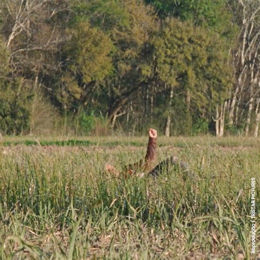 Conhece esse filme com Bruce Willis? #AdoroCinema #filmes #movies #fblifestyle | AdoroCinema