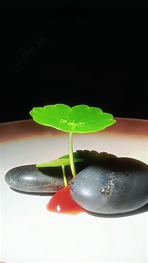 Creating the Most Expensive Glass of Water