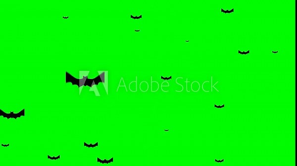 Flock of Flying Bats Animation on Green Screen.