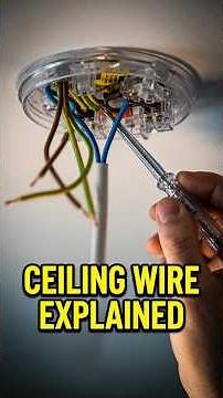 Never Touch A Light Fixture Until You Do This #electrical #safety #voltage