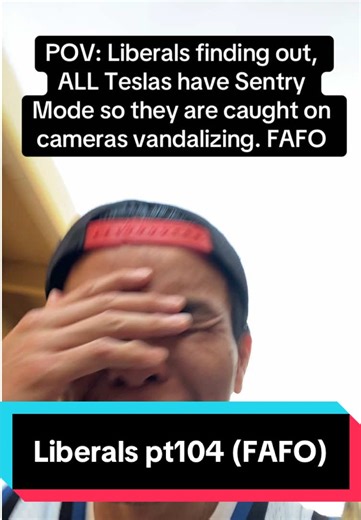 Understanding Tesla's Sentry Mode: What You Need to Know