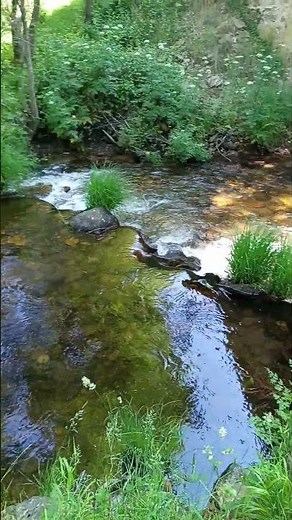 Bonito lugar, zonas de baño pozas de Horcajo de la Sierra, Madrid, España 2025