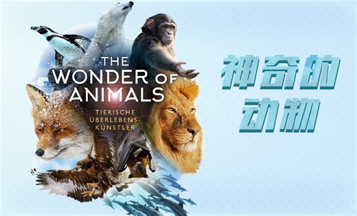 【纪录片】神奇的动物-The Wonder Of Animals (6 eps) -橦橦橦-纪录片-哔哩哔哩视频